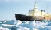 polar1